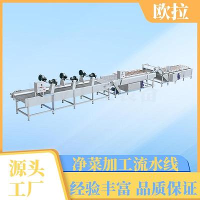 山菜香椿芽类蔬菜清洗机器 全自动洗菜机 豆角藕片气泡清洗机