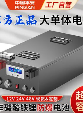 房车磷酸铁锂电池12v24v48大容量摆摊移动电源大单体