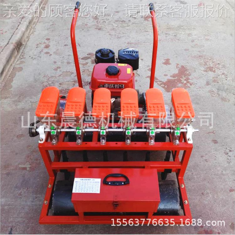 汽自走蔬菜洋播种机 大葱葱式育苗香菜NIB生菜精油播机