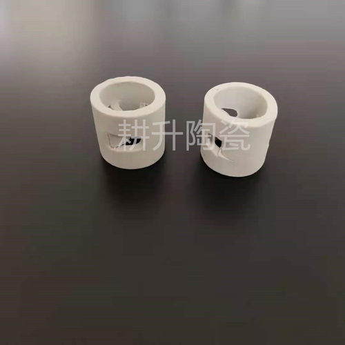 现货供应各种规格鲍尔环 化工填料 陶瓷鲍尔环填料 【耕升陶瓷】