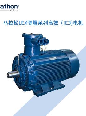 LEX隔爆系列三相异步电机80-355机座风机水泵压缩