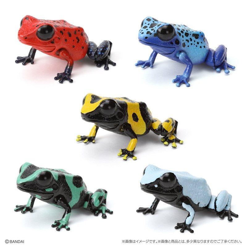 [预售定金]  生物大图鉴 毒箭蛙摆件 仿真青蛙公仔到货补邮费,模玩/动漫/周边/娃圈三坑/桌游,动漫挂件/文具,淘宝优惠券,粉丝福利购,淘宝优惠卷
