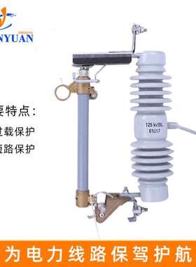 跌落式熔断器10KV高压A户外RW12-15/10A令-2000变压器克保险开关