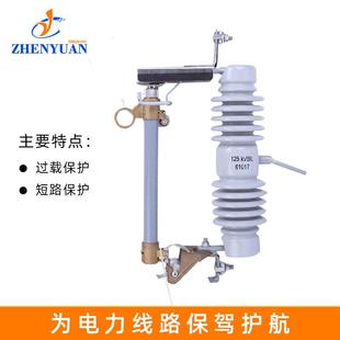 10A令 2000变压器克保险开关 熔断器10KV高压A户外RW12 跌落式