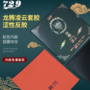 友谊729乒乓球套胶皮极光龙腾飞天凌云MAX反胶粘涩性弧圈快攻新品