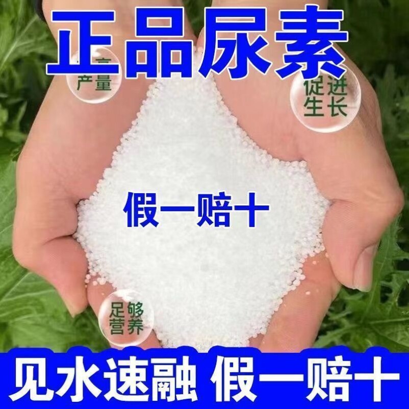尿素蔬菜专用肥正宗小颗粒尿素蔬菜氮肥花卉果蔬肥料植物盆栽通用