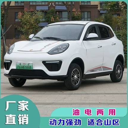 新款四轮全封闭电动四轮车家用新能源油电两用老年代步车女士成人