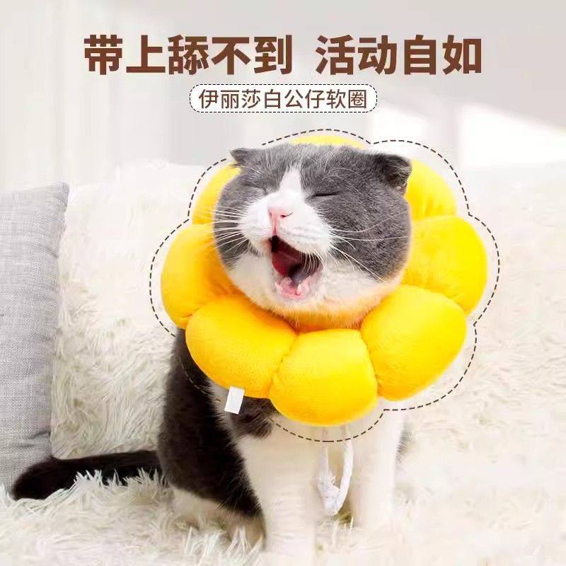 伊丽莎白圈猫绝育项圈防舔除跳蚤英短猫咪脖圈颈圈头套狗宠物用品,宠物/宠物食品及用品,宠物伊丽莎白圈,淘宝优惠券,粉丝福利购,淘宝优惠卷