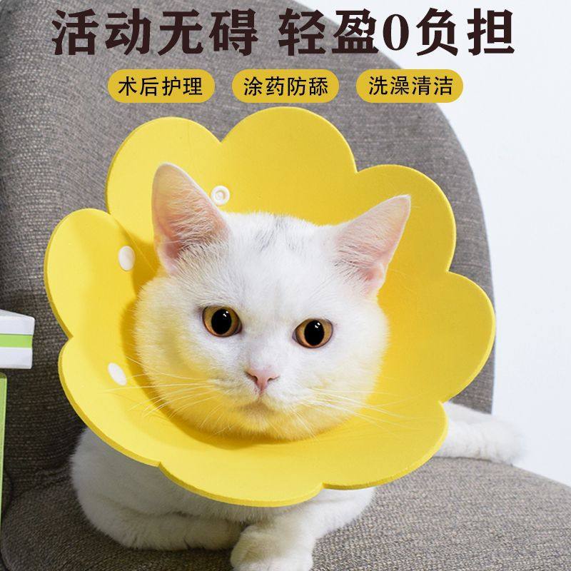 伊丽莎白圈头套猫咪项圈绝育防舔围脖圈颈圈柔软狗可调节宠物用品,宠物/宠物食品及用品,宠物伊丽莎白圈,淘宝优惠券,粉丝福利购,淘宝优惠卷