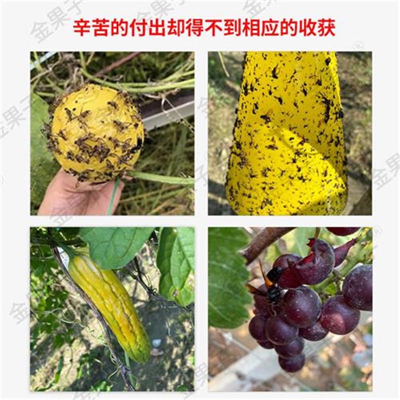 冬瓜网兜苦瓜丝瓜套袋专用袋防虫套袋防I虫袋加长瓜果防虫网袋网
