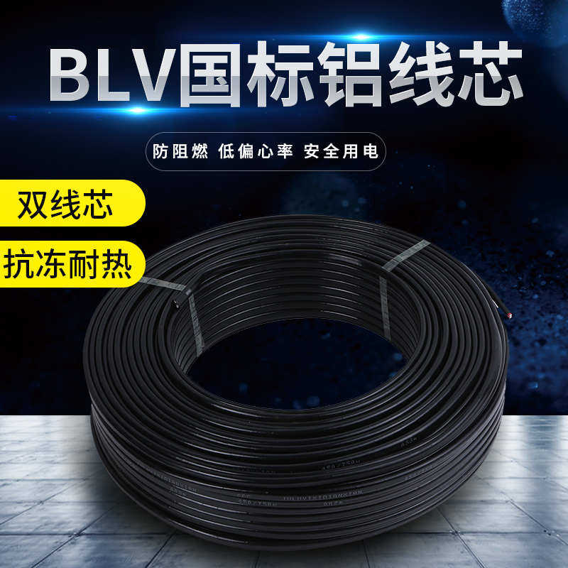 国标2芯3芯电缆线铝芯户外2.5电线4/6/10/16/25平方双芯铝线护