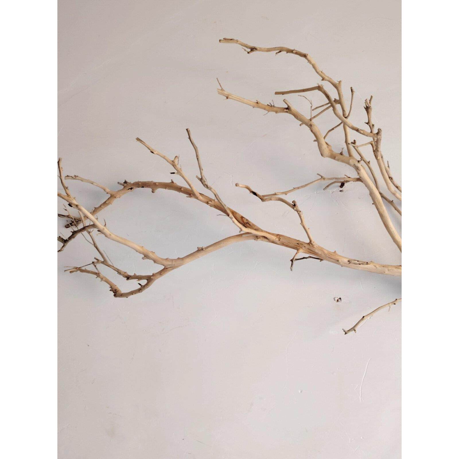 吊灯干枝分枝干树枝装饰树干枯枝室内天花板挂灯插花挂件舞台摆件