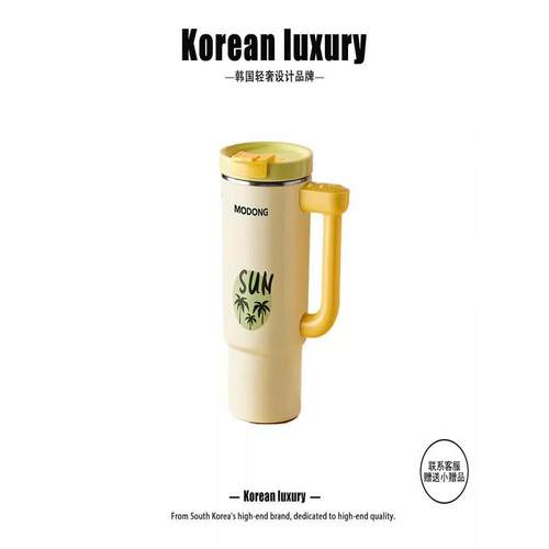 德国便携养生杯烧水壶保温加热办公室养生多功能一人养生煮泡花茶