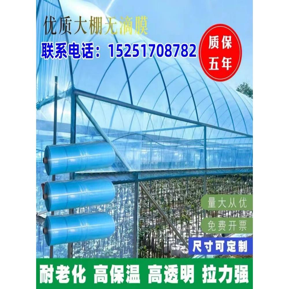 进口抗老化无滴膜整卷大棚塑料膜保温透光农用薄膜瓜果葡萄专用膜