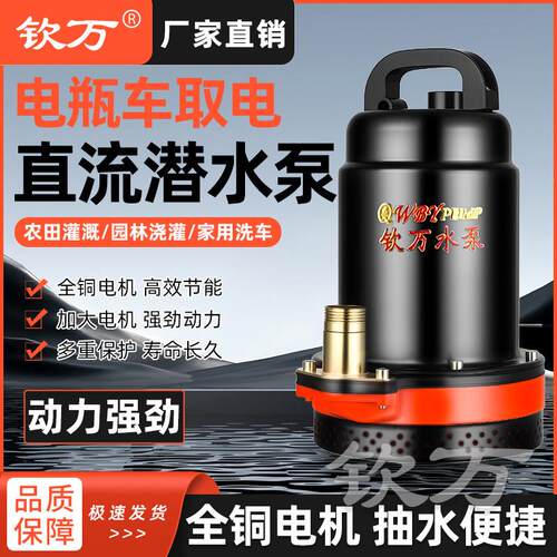 钦万直流潜水泵高扬程电动车48V60V72V大流量电瓶12V24V抽水机泵