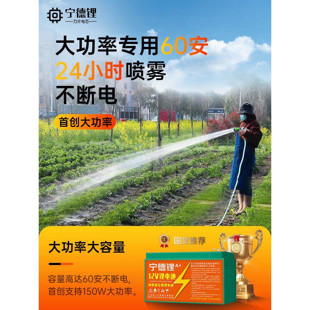 宁德锂电池电动喷雾器专用蓄电池12V大容量农用抽水泵电瓶背负式