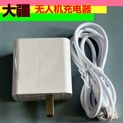 大疆植保无人机T20 T20P T50 RM700/B T40遥控器充电器电源数据线