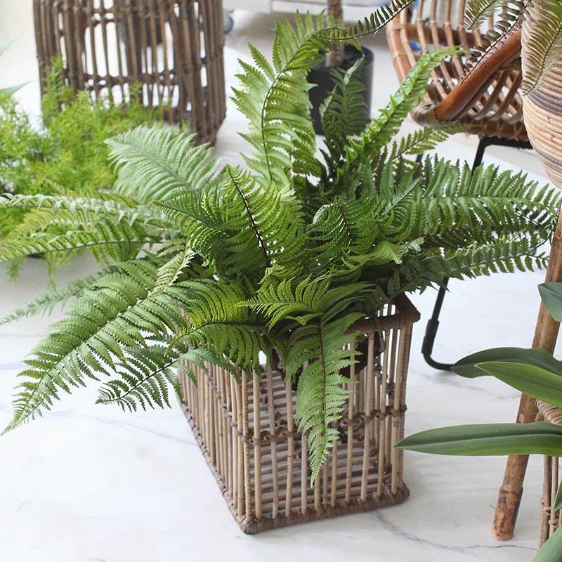 仿真绿植霸王蕨叶草把束绿叶插花 客厅阳台森系造景装饰野趣之美