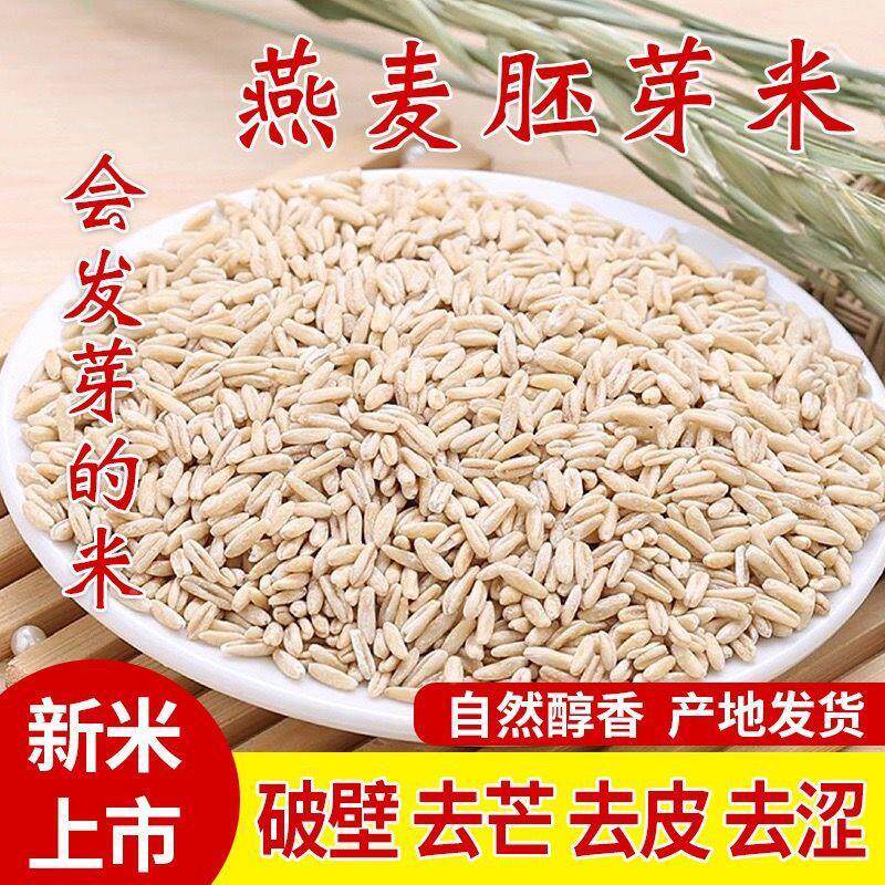 【买 一送一 买 二送二】全胚芽燕麦米煮粥发芽破壁去芒去壳裸燕