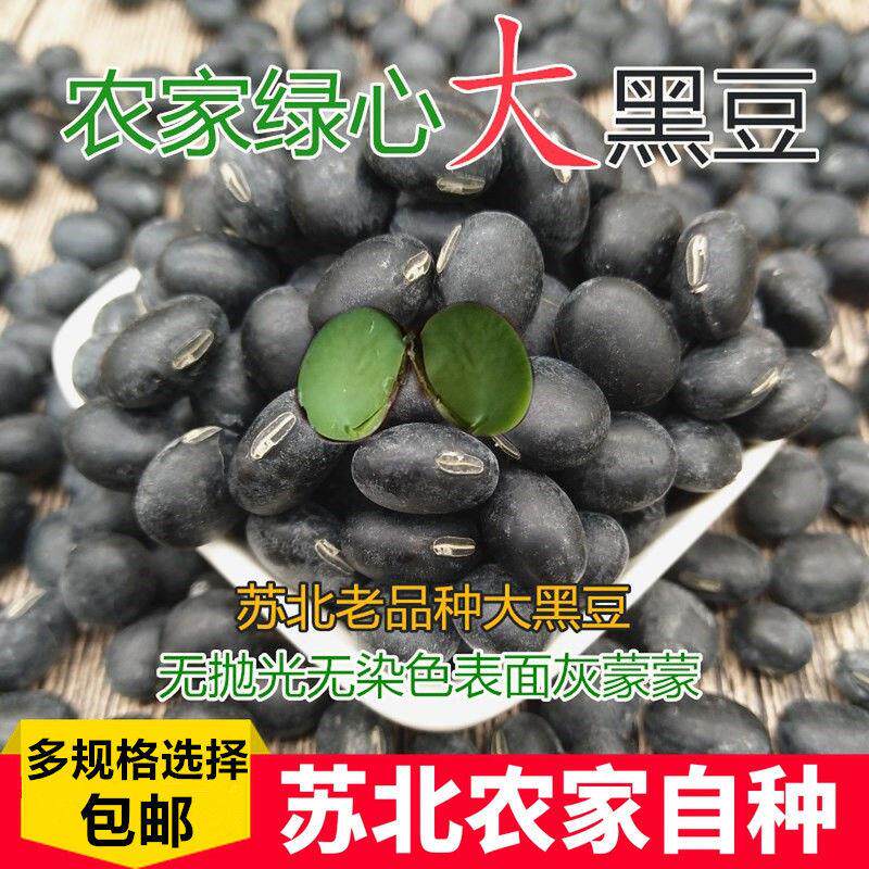 年绿芯大黑豆5斤/250g农家老品种大黑豆五谷杂粮豆浆醋泡黑豆