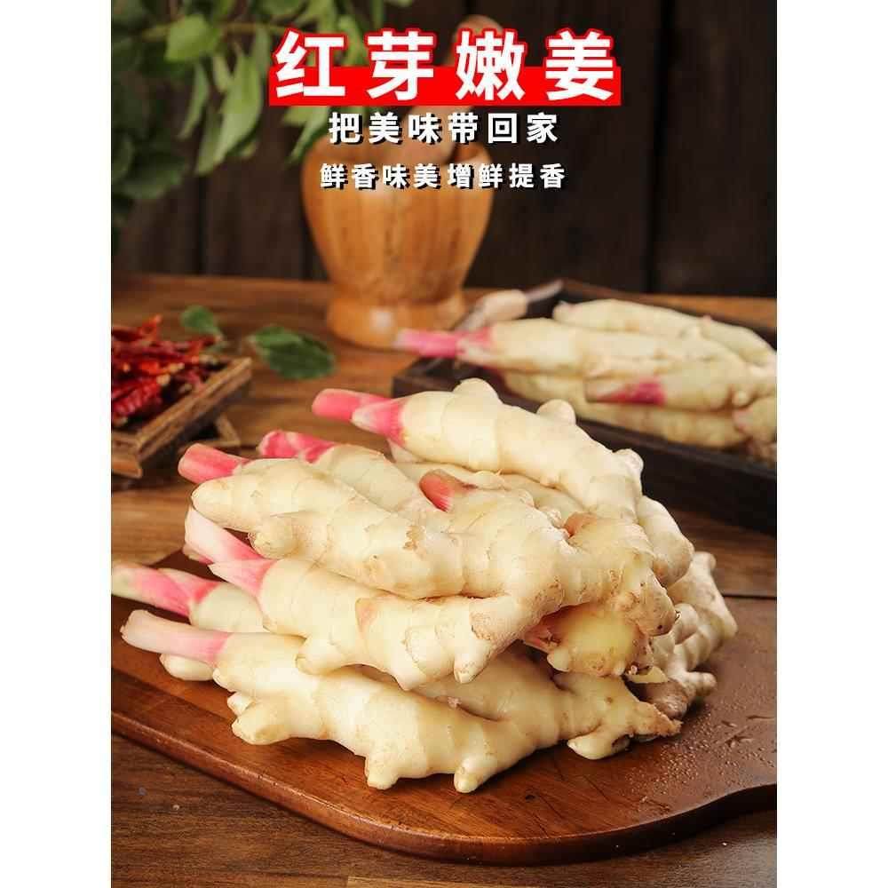 2026嫩姜新鲜仔姜山东泡姜牙鲜生姜红芽现挖农家当季腌制蔬菜子姜