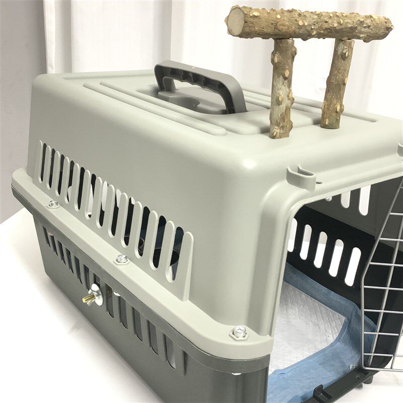高端精品秃鼻航空箱红嘴航空箱白颈航空箱外出笼鸟类航空箱乌鸦
