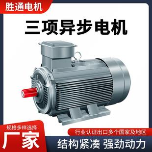 供应YE3三相异步电动机15W20HP6级YE3 6380V电动机马达 180L