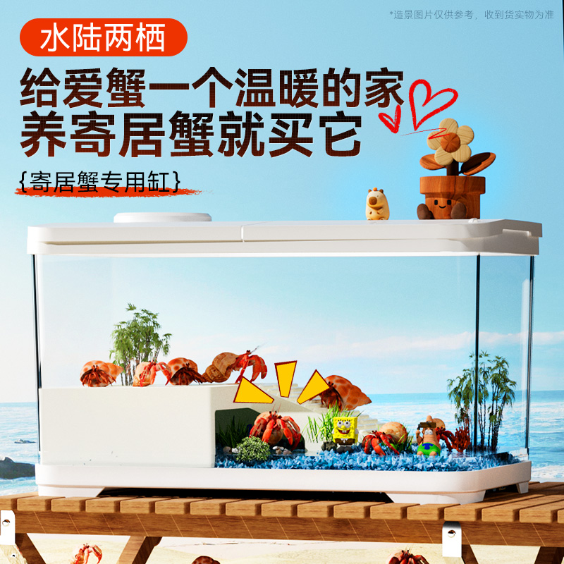 寄居蟹饲养箱套装小型桌面