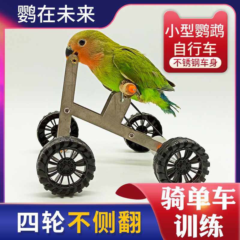 鹦鹉玩具训练自行车训鸟用品道具单车玄凤小太阳和尚金太阳自行车,宠物/宠物食品及用品,鸟秋千,淘宝优惠券,粉丝福利购,淘宝优惠卷