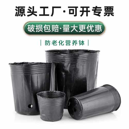 恒德利防老化营养杯基地加厚营养袋黑色塑料育苗袋 育苗杯