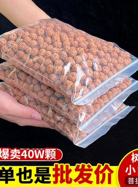 精品树王爆肉小金刚散珠文玩手串