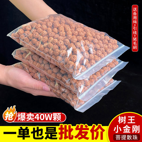 精品树王爆肉小金刚散珠文玩手串