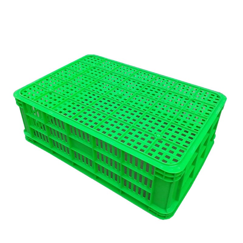 575-190塑料筐周转筐水果蔬z菜筐鸡蛋筐豆芽沥水筐龙虾筐塑料方框