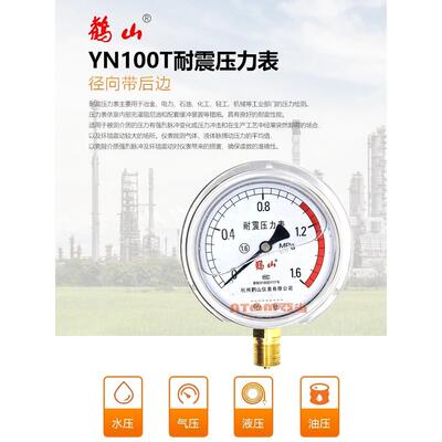 Yn100T耐冲击压力表1Mpa Hedian 304