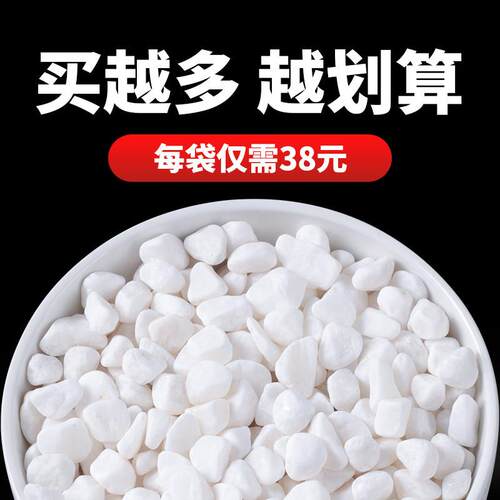 白石子造景鹅卵石庭院铺地砾石白色室内阳台颗粒天然小石头子