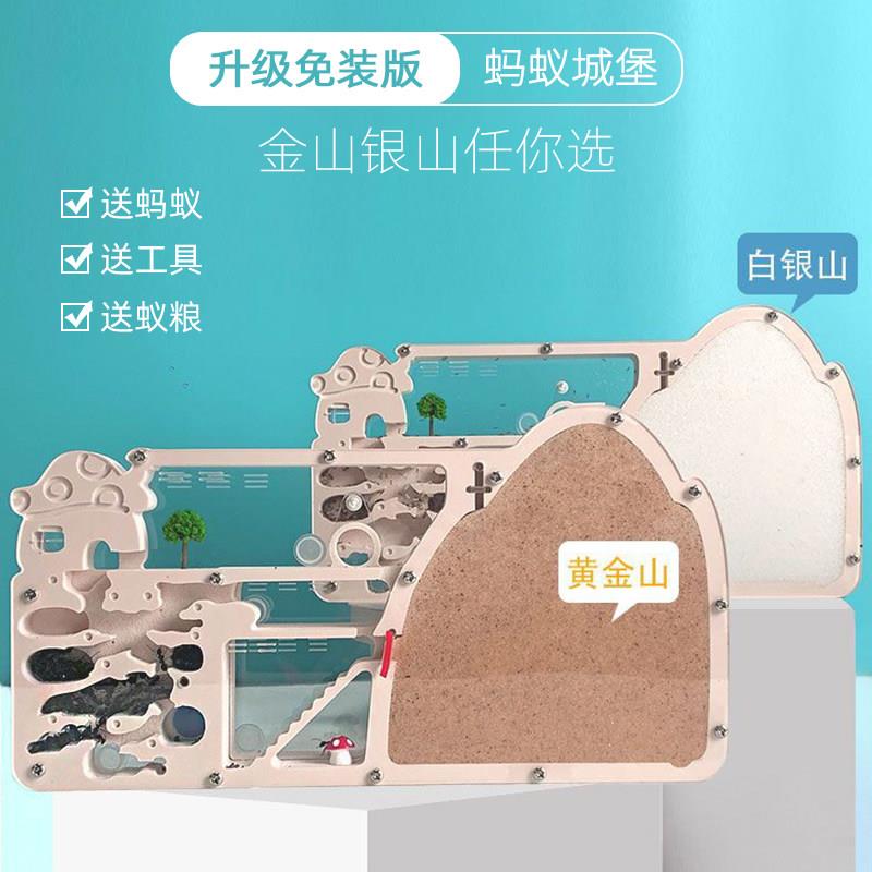 蚂蚁城堡送蚁后宠物庄园大型巢生态箱农场蚂蚁工坊蚁窝王国饲养盒