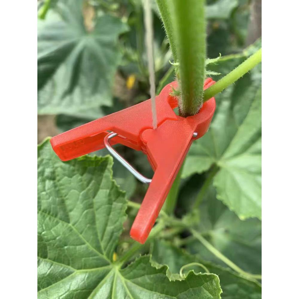 黄瓜夹挂苗夹系藤夹番茄番茄夹挂苗夹蔬菜大棚塑料夹挂藤