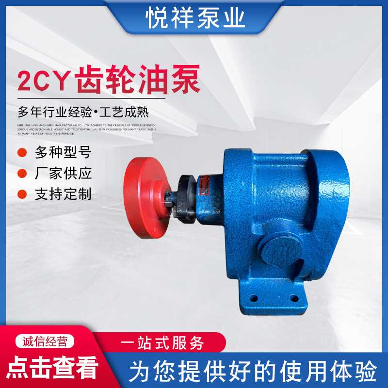 厂家2CY齿轮油泵输送泵循环抽油泵高压齿轮油泵 供应2CY齿轮油泵