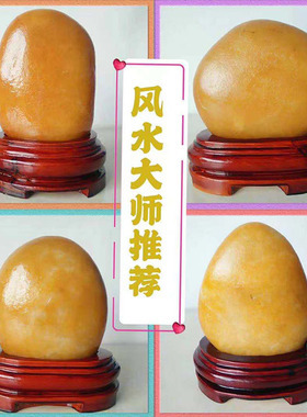 天然黄腊石原石 奇石 观赏石 黄色石头 风水石精品摆件特惠黄蜡石