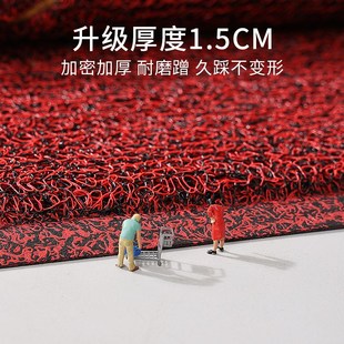 丝圈地毯防滑门垫 入户门地垫进门门口家用脚垫门外脚踏垫2025新款