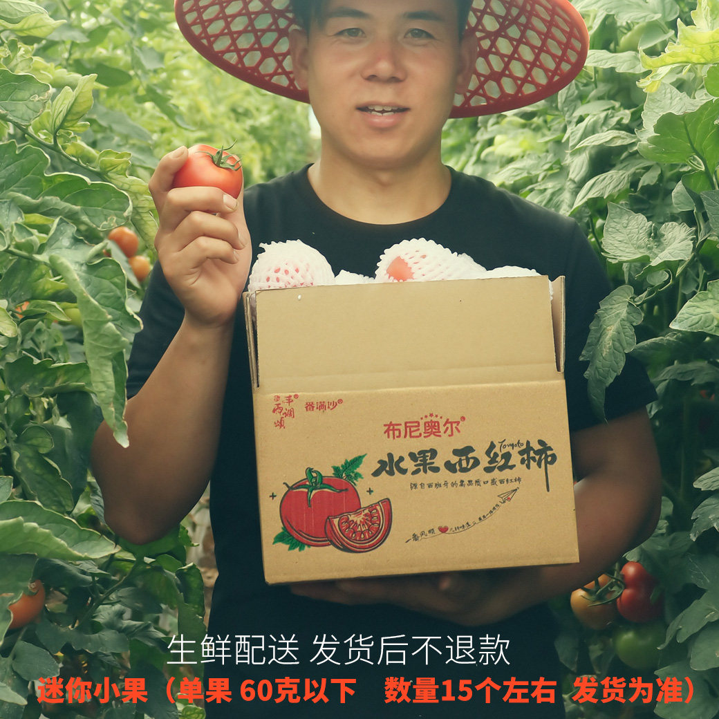 现摘西红柿老品种沙瓤新鲜自然熟当季正宗草莓心水果番茄普罗旺斯,水产肉类/新鲜蔬果/熟食,番茄,淘宝优惠券,粉丝福利购,淘宝优惠卷