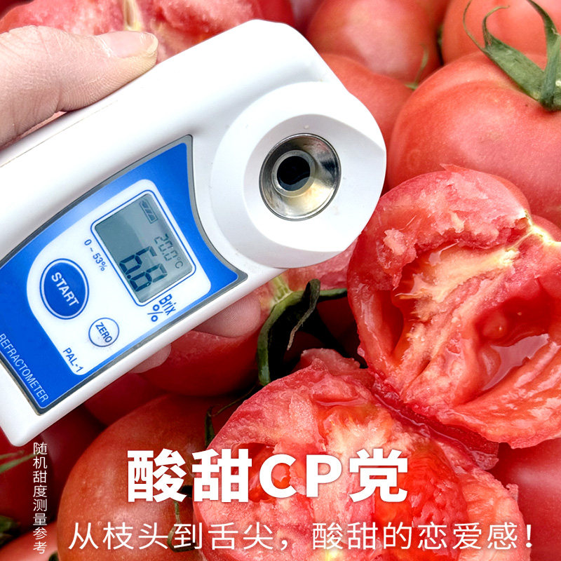 正宗普罗旺斯沙瓤西红柿自然熟水果番茄新鲜蔬菜生吃饱腹低卡推荐