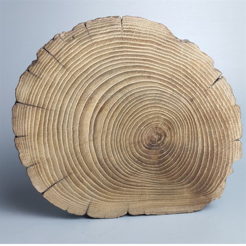 根雕木雕摆件枯木风化木陈化料根料年轮片木片原木横节片底托底座