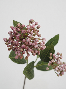 仿真花绣球果清新果实装饰摆件 欧式花艺家居插花摄影道具批发