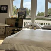 ins风简约灰凉感冰藤席空调凉席软席1.5m1.8米床席款 三件套夏季 凉