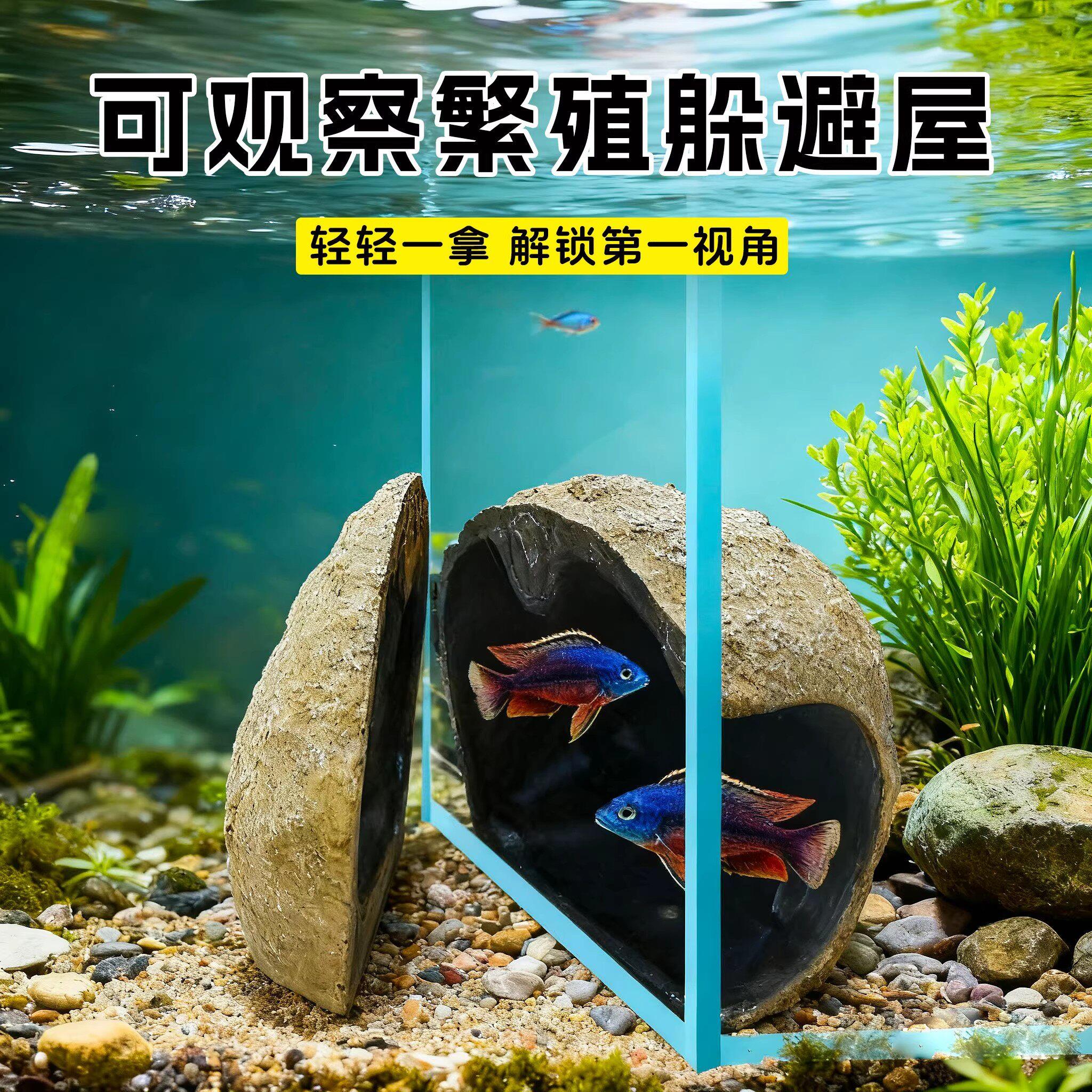可观察繁殖躲避屋磁吸躲避屋迷你鹦鹉慈鲷繁殖罐产卵彷真石头造景
