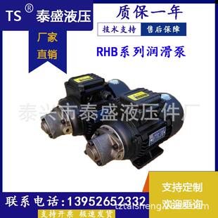 泰兴市泰盛液压件厂RHB-1JZ-1/120W/380V正转摆线齿轮油泵电机220