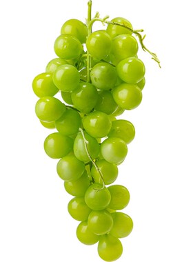 高仿真水果假葡萄串模型PVwC软塑胶手感拍摄道具藤条吊顶装饰摆件