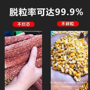 全自动玉米脱粒机家用小型220V电动剥玉米机苞谷分离机剥玉米