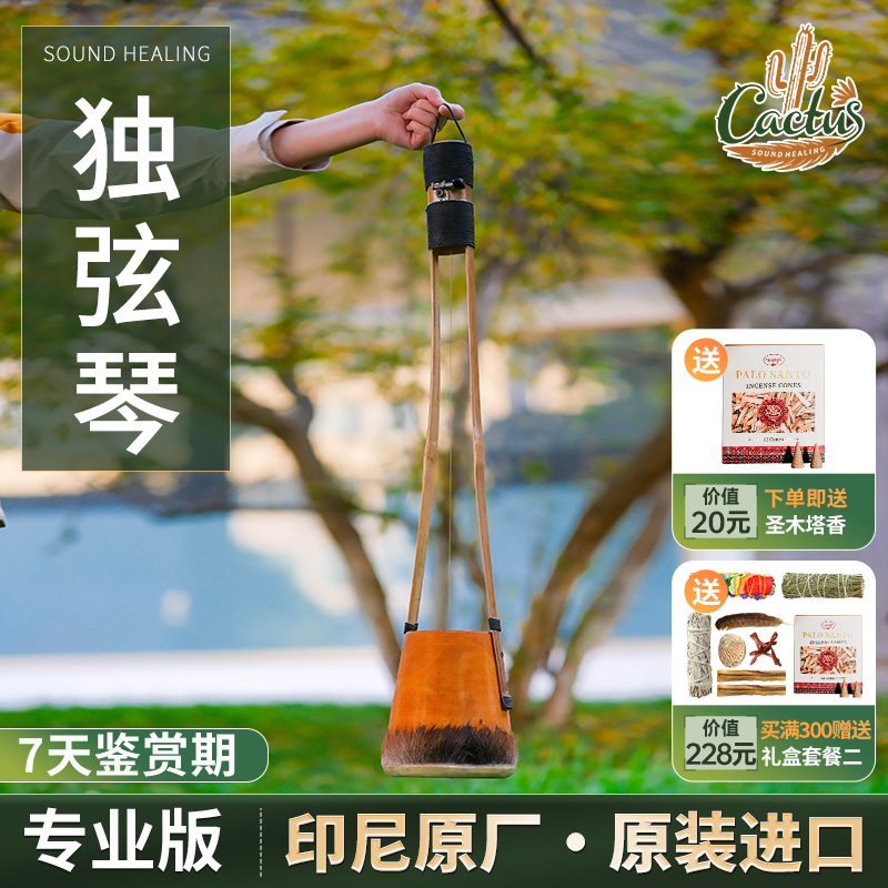 拨铃波琴Berimbau高皮钱德独弦琴Gopichand彩绘椰子拇指琴乐器
